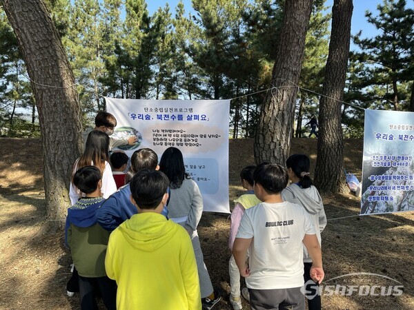 25일 흥해서부초등학교학생들이 탄소중립실천프로그램 ‘우리 숲, 북천수를 살펴요’라는 주제로 숲 가꾸기 활동을 하고 있다. 사진/엄지원 기자