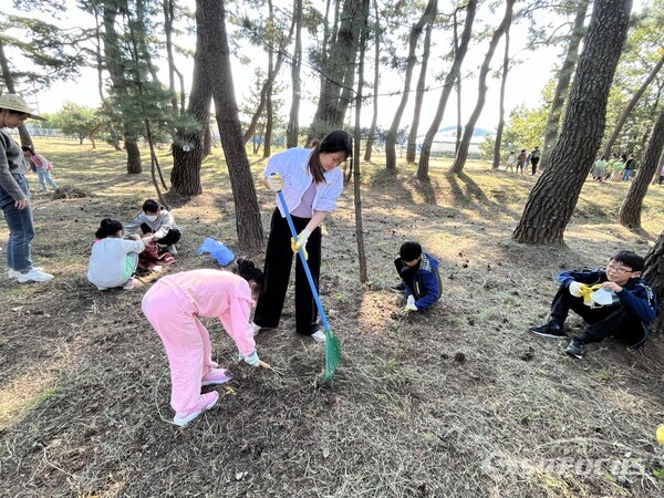 25일 학생들이 소중한 북천수의 건강한 숲 관리를 위해 깍지벌레로부터 피해를 줄일 수 있는 솔잎 긁어 주기를 하고 있다. 사진/엄지원 기자