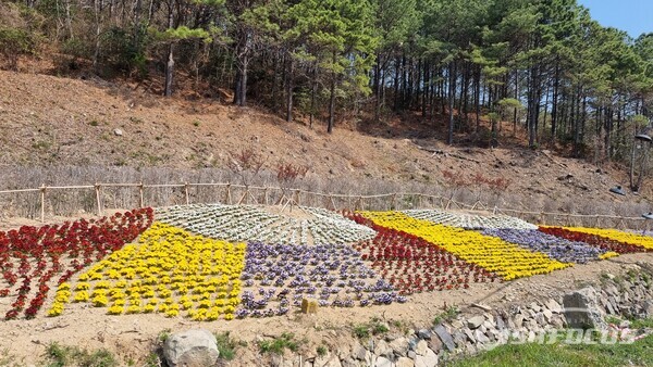 진도군이 올해 도로정비 종합평가 ‘최우수’ 기관으로 선정되었다. 사진/진도군청 제공