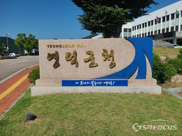 영덕군청 전경.사진/김영삼 기자