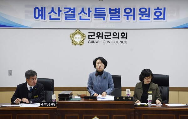 홍복순 예산결산특별위원장.사진/군위군의회