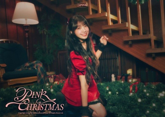 에이핑크는 오는 11일 오후 6시 각종 음원사이트에 '핑크 크리스마스'를 발매한다 / ⓒIST엔터테인먼트