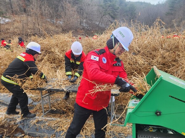 20일 심상택 산림청 산림산업정책국장(사진)이 경북 문경시 가은읍 완장리 일원에서 영농부산물 수거 및 파쇄 지원에 참여하고 있다. 사진/ 남부산림청 
