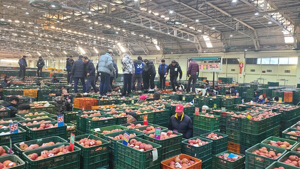 4일 안동농협 농산물공판장이 2024년 첫 경매를 하고 있다. 사진/안동농협 