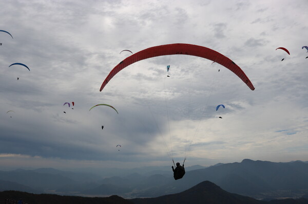 패러글라이딩 활공 모습.사진/영주시