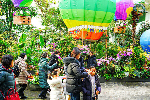 지난 27일 나들이 나온 시민들이 서울식물원 온실 안에서  겨울 속 봄을 맞이하고 있다.  사진/유우상 기자