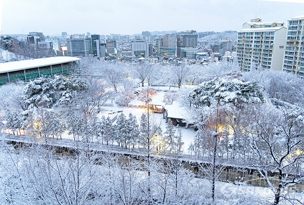 22일 아침 서울 마포구 와우공원 하얀 설국 공원으로 변했다.  사진 / 유우상 기자