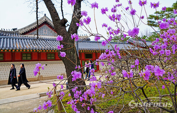 '문화가 있는 날'--지난 27일 수요일 덕수궁 봄날을 즐기려는 시민들로  붐볐다.  사진/유우상 기자  