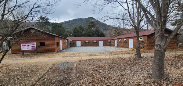 경북산림환경연구원이 소나무재선충병 방제와 함께 솔잎혹파리 친환경 방제를 위해 전국 최초 천적사육사를 운영하고 있다. 사진/김영삼 기자 