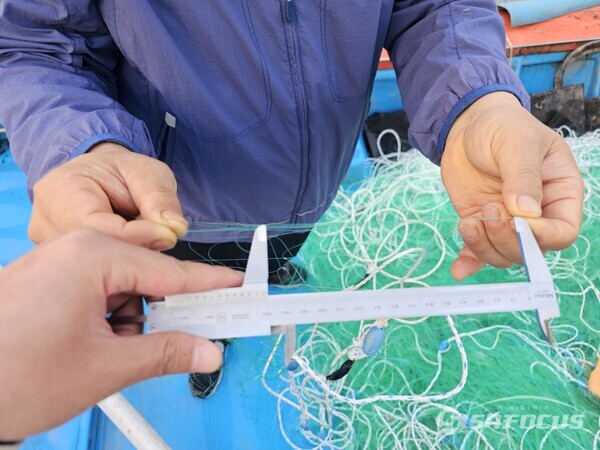 완도군이 불법 어업 단속에 나섰다.(어구 그물코 규격 확인하는 모습) 사진/완도군청 제공