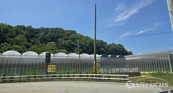 삼산마을 친환경에너지타운 내 주민 소득 향상을 위해 설치한 비닐하우스 .사진/김진성 기자