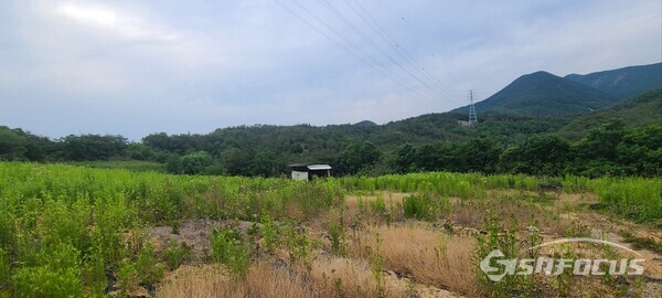  청송산림레포츠 휴양단지 내 골프장 예정지.사진/김영삼 기자