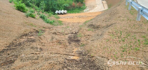 지난해 산사태가 발생해 현재 복구를 완료했지만 또 다시 산사태가 발생할 위험을 안고 있다.사진/김영삼 기자