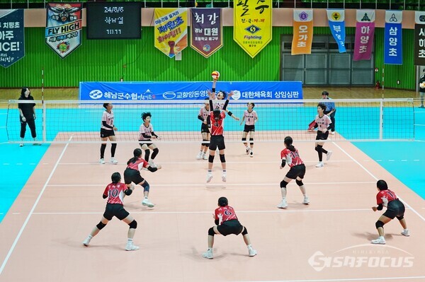 제3회 땅끝해남기 전국 초등학교 배구대회 경기 장면. 사진/해남군청 제공