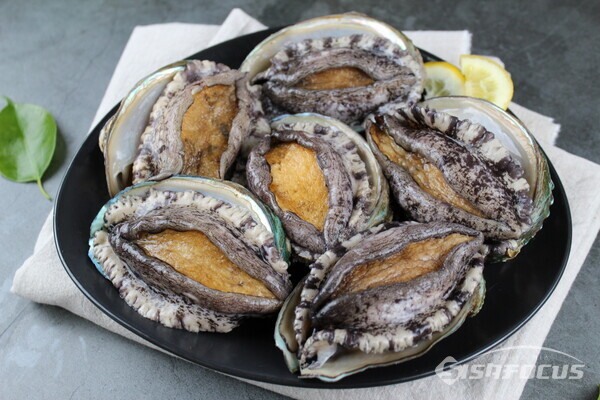 바다의 산삼이라 불리는 전복. 사진/최영남 기자