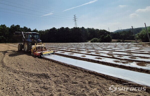 토양 소독기 기계화 박차. 사진/해남군청 제공