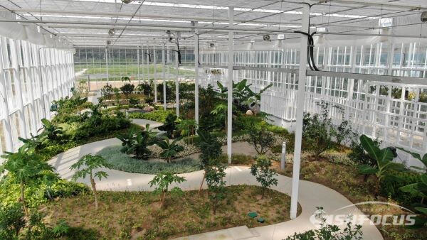 기후 변화에 적합한 아열대식물 온실인 아열대농업관 실내 모습. 사진/경주시