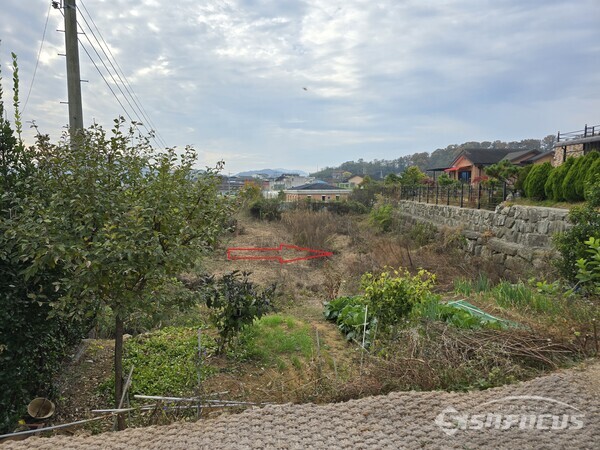 성주군이 ‘수의계약’으로 매각한 것에 대해 특혜 논란이 일고 있는 군유지 전경.사진/김진성 기자