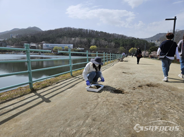 대표 유원지와 도시공원의 맨발걷기길 24개소를 선정 후 중금속 11개 항목, 기생충(란), pH 등 총 13개 항목에 대하여 토양 분석을 위해 시료를 채취하는 모습.ⓒ대구시