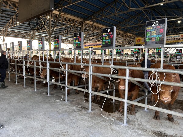 예천 스마트 가축시장.ⓒ예천군