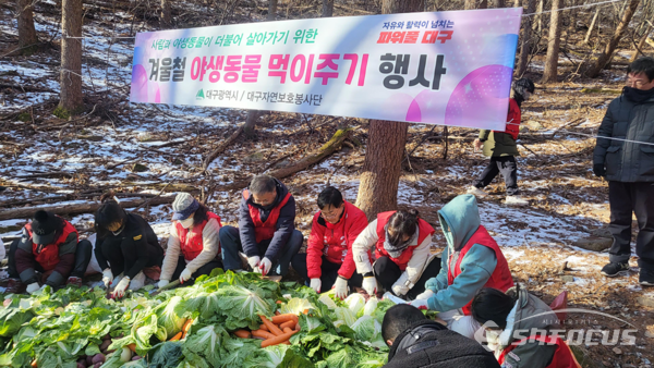옥수수, 겉보리, 수수, 배추 등 먹이를 인적이 드문 야생동물 통행로 주변에 놓아주기 위해 분리 작업하는 모습ⓒ대구시