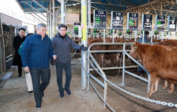 10일 김학동 예천군수(왼쪽)가 예천경매가축시장을 방문해 경매 상황을 점검하고 가격 하락으로 고충을 겪고 있는 축산농가를 위로하고 있다.ⓒ예천군