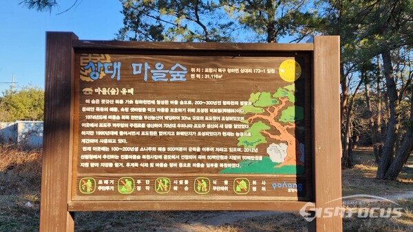 포항시 청하면 상대리 상대마을숲.ⓒ엄지원 기자