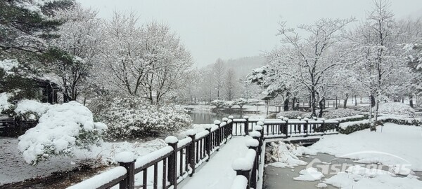 경북수목원 겨울 전경ⓒ경북숲해설가협회