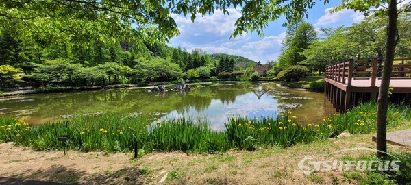 경북수목원 내 삼미담 전경ⓒ경북숲해설가협회