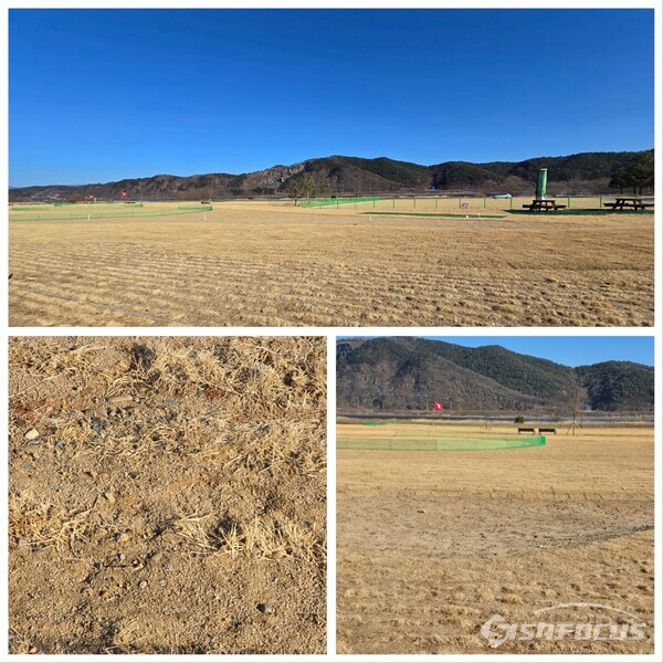 2월 말 준공을 목표로 조성 중인 ‘낙동강변 성주 파크골프장’ 이 자갈과 돌로 인해 부실 공사 논란에 휩싸였다(이용자들의 안전과 장비 손상 위험을 높일 수 있는 요소로 지적박도 있다).사진/김진성 기자