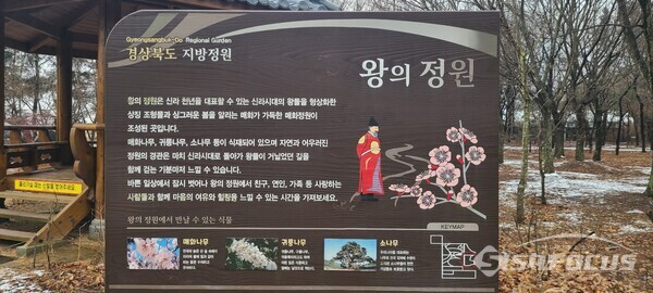 경북천년숲정원 내 왕의 정원.사진/엄지원 기자