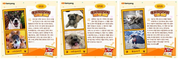우리집 댕댕이 자랑대회 이벤트에 선정된 사연ⓒ삼양식품