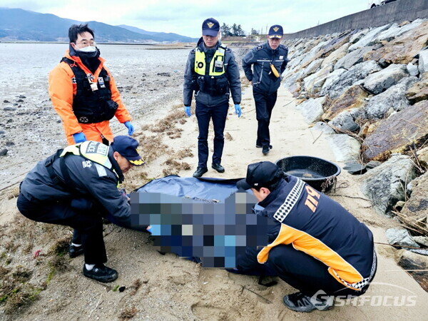 전남 해남군 갈두항 인근 해안가에서 지난 1일 남편과 함께 굴 채취에 나갔던 실종된 부인의 시신 발견. 사진/완도해경 