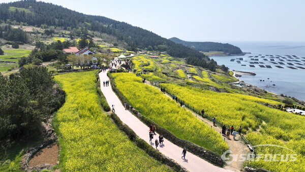 완도군, 지역관광추진조직 지원 사업 공모 선정 (사진은 청산도 슬로길 전경). 사진 / 완도군청