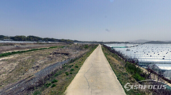 가로수 조성사업이 추진 예정인 경북 성주군 벽진면 이천변 자전거길.사진/김진성 기자