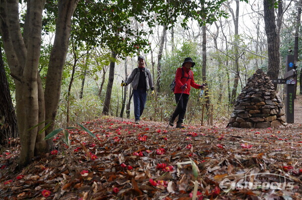 달마산 달마고도 힐링축제. 사진/해남군청