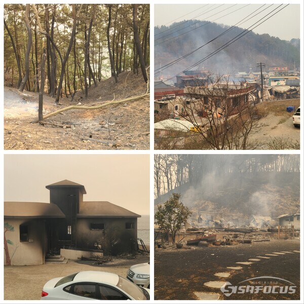 26일 오전 영덕군 산불피해 현장.사진/김영삼 기자