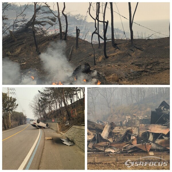 26일 오전 영덕군 산불현장.ⓒ시사포커스DB