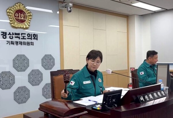지난 31일 이선희 기획경제위원장이 제354회 임시회 상임위원회 회의에서 기획조정실 소관 2025년도 제1회 추가경정예산안 심의를 상정하고 있다.ⓒ경북도의회