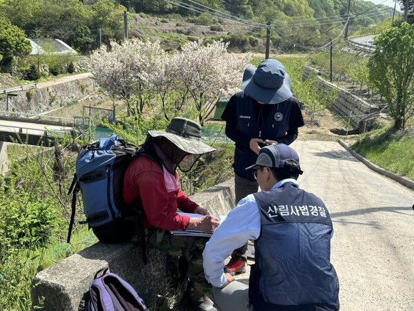 산림사범수사대가 산림 내 불법행위자를 단속중이다.ⓒ남부산림청 