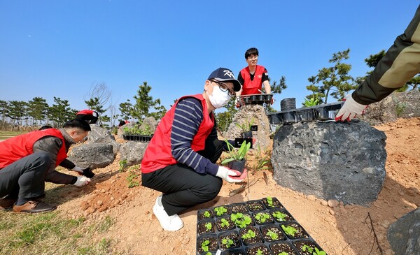 하림 임직원이 새만금환경생태단지에서 자생식물을 심고 있다. ⓒ하림