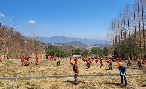 11일 남부산림청 직원들이 제80회 식목일을 맞아 국립산림치유원에서 나무심기를 하고 있다.ⓒ남부산림청