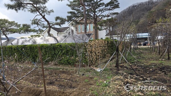 17일 윤경희 청송군수가 자신의 모친 소유 주택을 보호하기 위해 공무원들을 동원한 결과 울타리 일부만 소실됐다.사진/김영삼 기자  