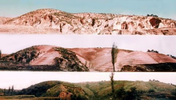 산림녹화기록물이 유네스코 세계기록유산에 등재됐다.ⓒ국가유산청