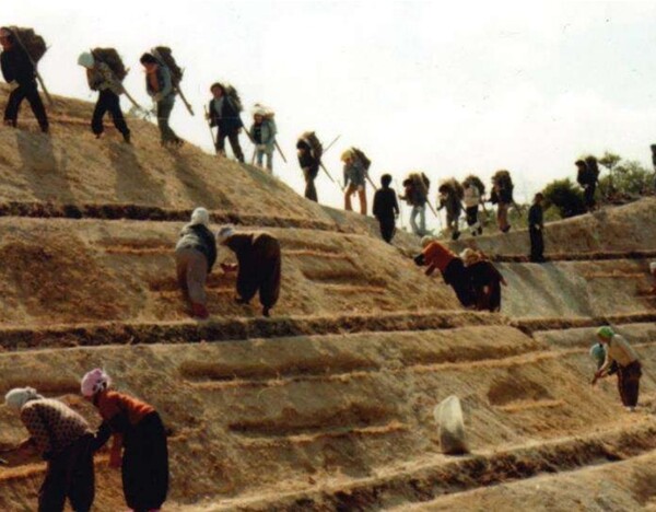 유네스코 세계기록유산에 등재된 산림녹화기록물. (사진은 1973~1977년 포항 영일만 복구사진).ⓒ국가유산청