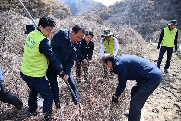 경북농협이 대형 산불로 피해를 입은 농업인들의 영농 재개를 위한 본격적인 지원에 나서고 있다.ⓒ경북농협