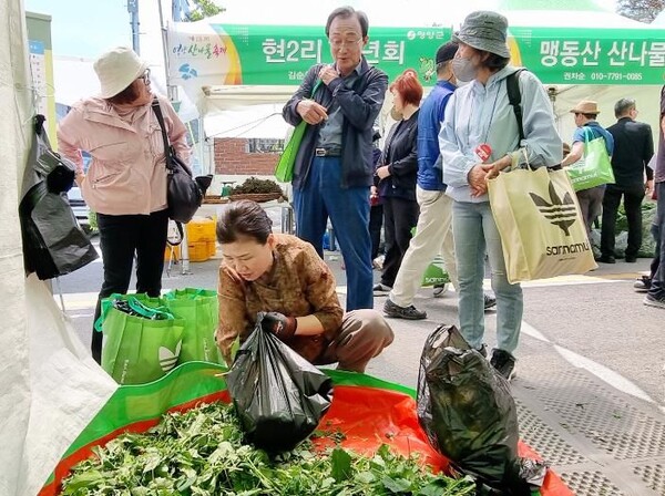 지난해 영양산나물축제 방문객들이 산나물을 구입하고 있다. 사진/영양군 