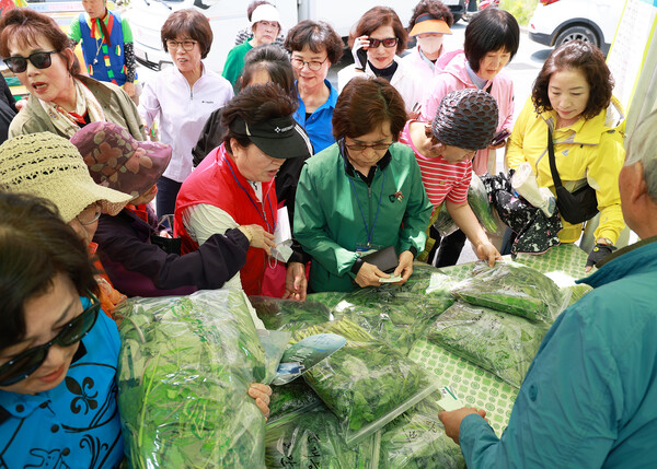 지난해 영양 산나물 축제에서 관광객들이 무공해 산나물을 구입하고 있다.ⓒ영양군