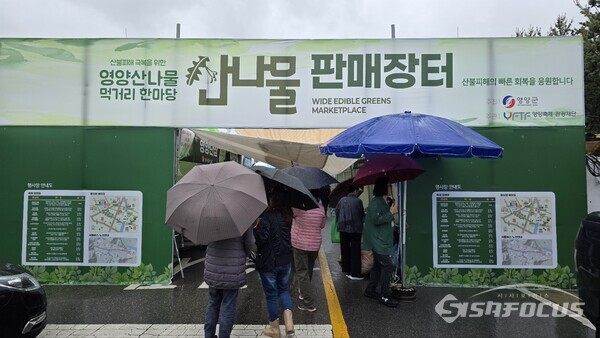 9일 영양군청 일원에서 개최되는 ‘영양 산나물 먹거리 한마당’은 단순한 음식 축제를 넘어 재난 후 지역사회의 회복과 연대를 다지는 특별한 장으로 열리고 있다.ⓒ김영삼 기자