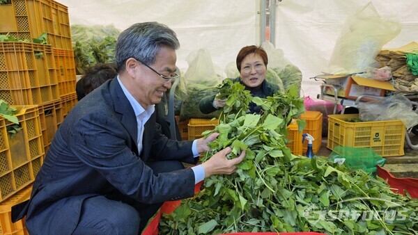 9일 오도창 영양군수가 반딧불이가 살고있는 청정지역에서 생산된 산나물을 살펴보고 있다.ⓒ김영삼 기자